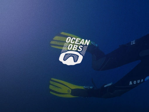 Web Application Ocean’Obs