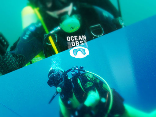 Web Application Ocean’Obs