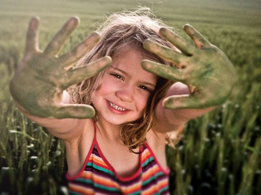 Campagne de don « Fondation Terre solidaire »