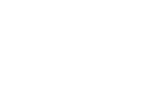 BPI France