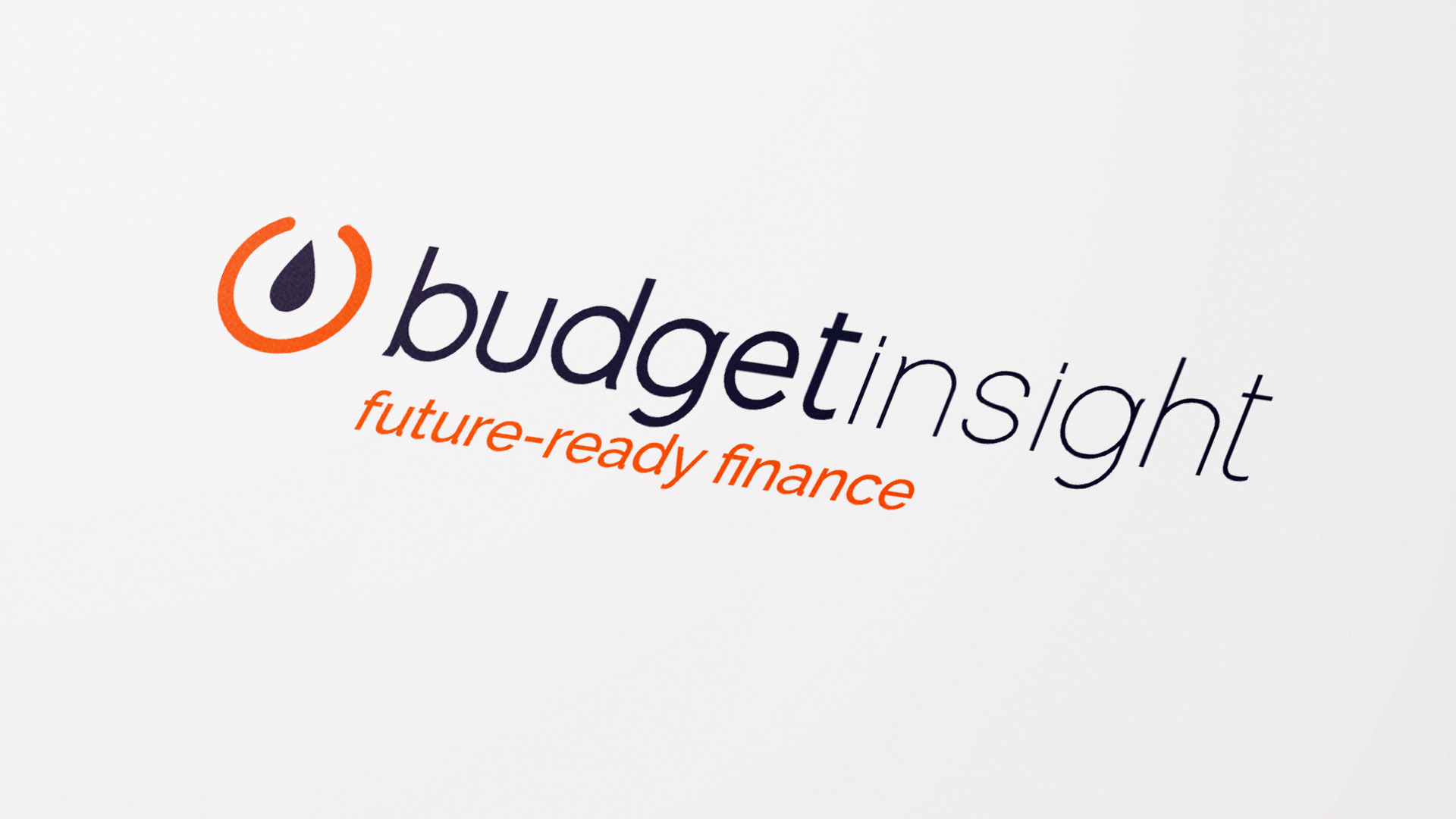 Logo Budget Insight