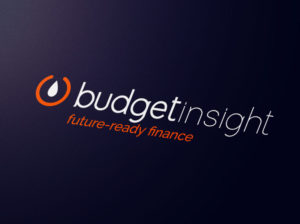 Logo Budget Insight
