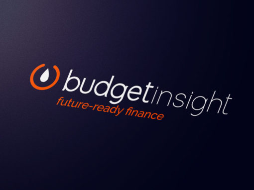 Refonte de l’identité visuelle de Budget Insight et Webdesign